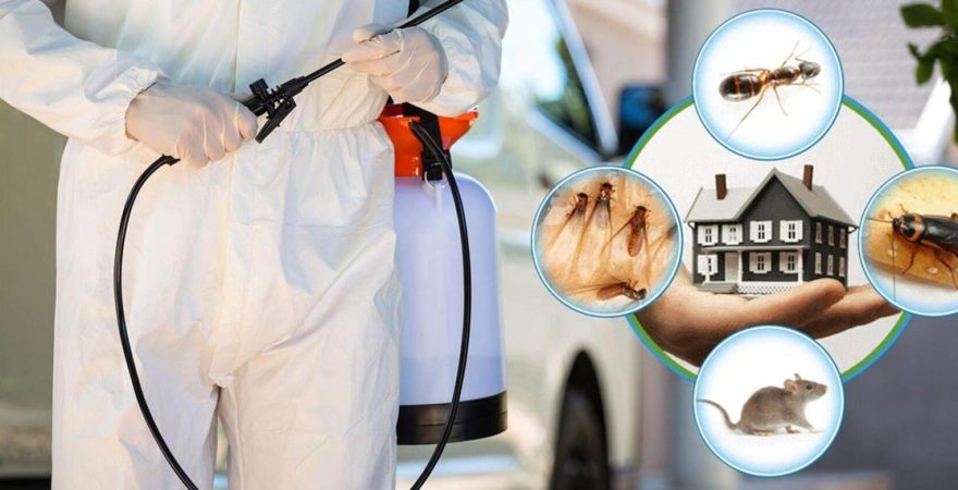 Menderes Böcek İlaçlama