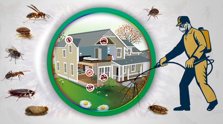 Menderes Böcek İlaçlama