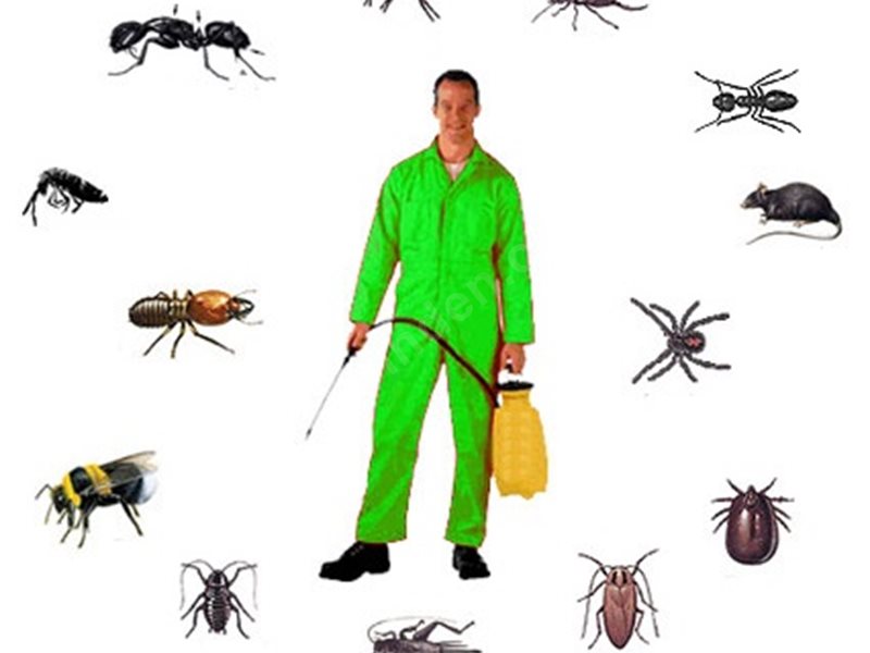 Menderes Böcek İlaçlama